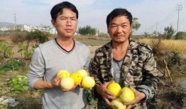 吃瓜群众安阳,吃瓜群众眼中的古城风云