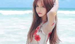 韩安冉吃瓜群众,吃瓜群众眼中的网红风云