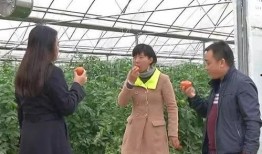 吃瓜群众刘大妈视频