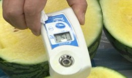 专打吃瓜群众怎么处理的,网络舆论场上的智慧应对