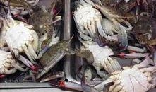 中国群众的吃瓜渔船,渔民的悠闲生活与丰收喜悦