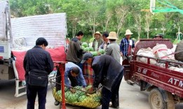 雒县吃瓜群众事件,一场网络舆论的风暴与反思