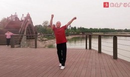 舞蹈吃瓜群众视频大全,揭秘热门舞蹈视频背后的趣味故事