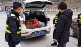 满后备箱吃瓜群众