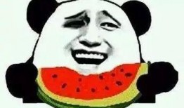 当当吃瓜群众吧百度贴吧,揭秘网络热议背后的真实故事