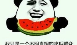 从吃瓜群众变成主角