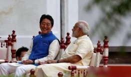 吃瓜群众自食恶果,盲目跟风背后的教训