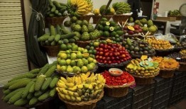 热心的朝阳吃瓜群众花店老板,热心朝阳吃瓜群众与花店老板的温馨故事