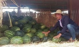 流泪红脸吃瓜群众