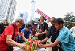 吃瓜爆料朝阳群众事件,揭秘吃瓜爆料背后的神秘力量