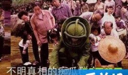 两批吃瓜群众什么意思,揭秘事件背后的真相与观点交锋