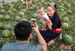 吃瓜群众校园,吃瓜群众视角下的校园生活点滴