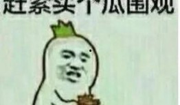 吃瓜群众干嘛啦,网络热议背后的真相与反思