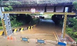 疫情小区吃瓜群众,吃瓜群众的视角