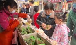 吃瓜群众4号9299,网络红人的崛起之路