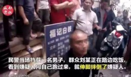 兔子变成吃瓜群众,从猎物到吃瓜群众的奇妙转变