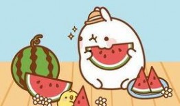 吃瓜群众的其他称呼,网络语言的魅力与演变