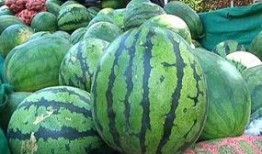 吃瓜群众买什么水果好,夏日消暑好选择