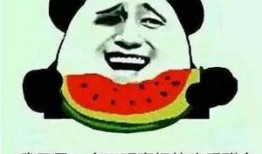 吃瓜群众打个球图片搞笑,搞笑瞬间，笑翻全场！