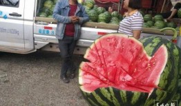 商场吃瓜群众闲逛,闲逛中的趣味时光