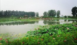 吃瓜群众沙河湿地公园,市民休闲新乐园，生态美景尽收眼底