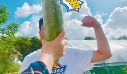 吃瓜群众干旱,干旱来袭，农业面临严峻挑战