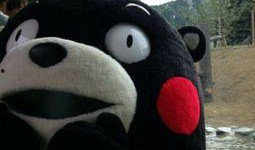 直男吃瓜群众好吗,直男视角下的娱乐圈吃瓜大揭秘