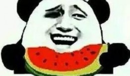 吃瓜群众的藐视是什么,吃瓜群众藐视下的社会现象解析