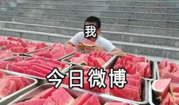 吃瓜群众悠闲,悠闲生活下的社会观察