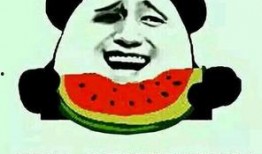 王延斌吃瓜群众是真的吗,吃瓜群众的真实身份揭秘