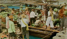 穿书吃瓜群众年代文合集,年代文合集里的穿书人生