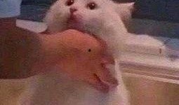 吃瓜群众左下角测试,揭秘网络热议背后的真相