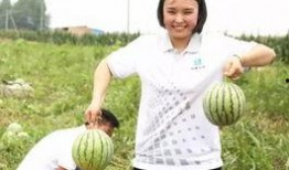 吃瓜群众刘大妈视频