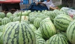 绿幕素材吃瓜群众视频大全,揭秘吃瓜群众视频大全背后的绿幕奥秘