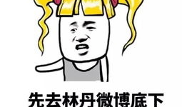 我们年轻吃瓜群众怎么说,年轻吃瓜群众视角下的社会热点解读