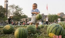 吃瓜群众校园,吃瓜群众视角下的校园生活点滴