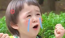 怎么模仿吃瓜群众说话,揭秘吃瓜群众的独特语言风格