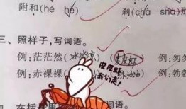 吃瓜群众小学同学,吃瓜群众小学同学的那些事儿