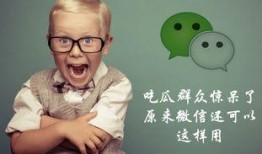 吃瓜群众微信收费,揭秘社交新趋势背后的真相