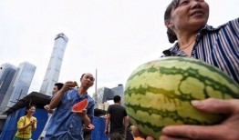 吃瓜朝阳群众在线,揭秘网络舆论场的风云变幻