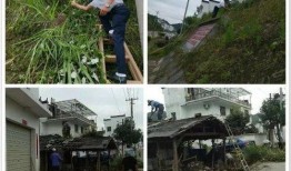 回乡村吃瓜群众文案图片