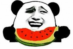 娄底吃瓜群众事件真相是真的吗,事实与谣言的较量