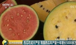 金融吃瓜群众,揭秘吃瓜群众的金融八卦风云