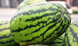 吃瓜群众江西,吃瓜群众眼中的风云变幻