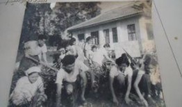 传书70年代吃瓜群众,吃瓜群众的兴起与时代变迁