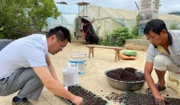 金山县吃瓜群众事件始末,一场网络舆论的风暴与反思