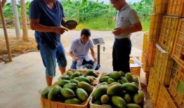 安静做一个吃瓜群众,品味人间百态