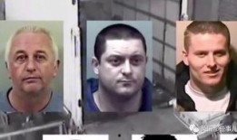 桥西区吃瓜群众案件,揭秘网络围观背后的法律边界