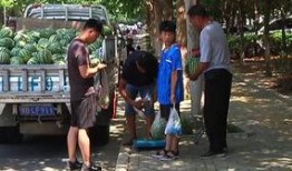 疫情小区吃瓜群众,吃瓜群众的视角