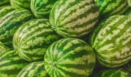 吃瓜群众在哪换